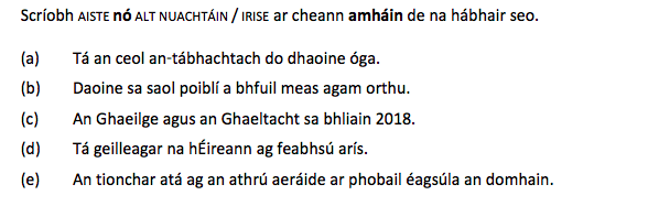 leaving cert irish predictions essays