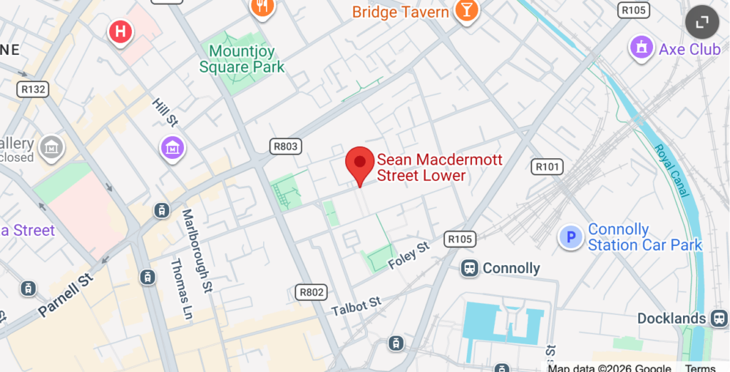 paula meehan leaving cert sample essay